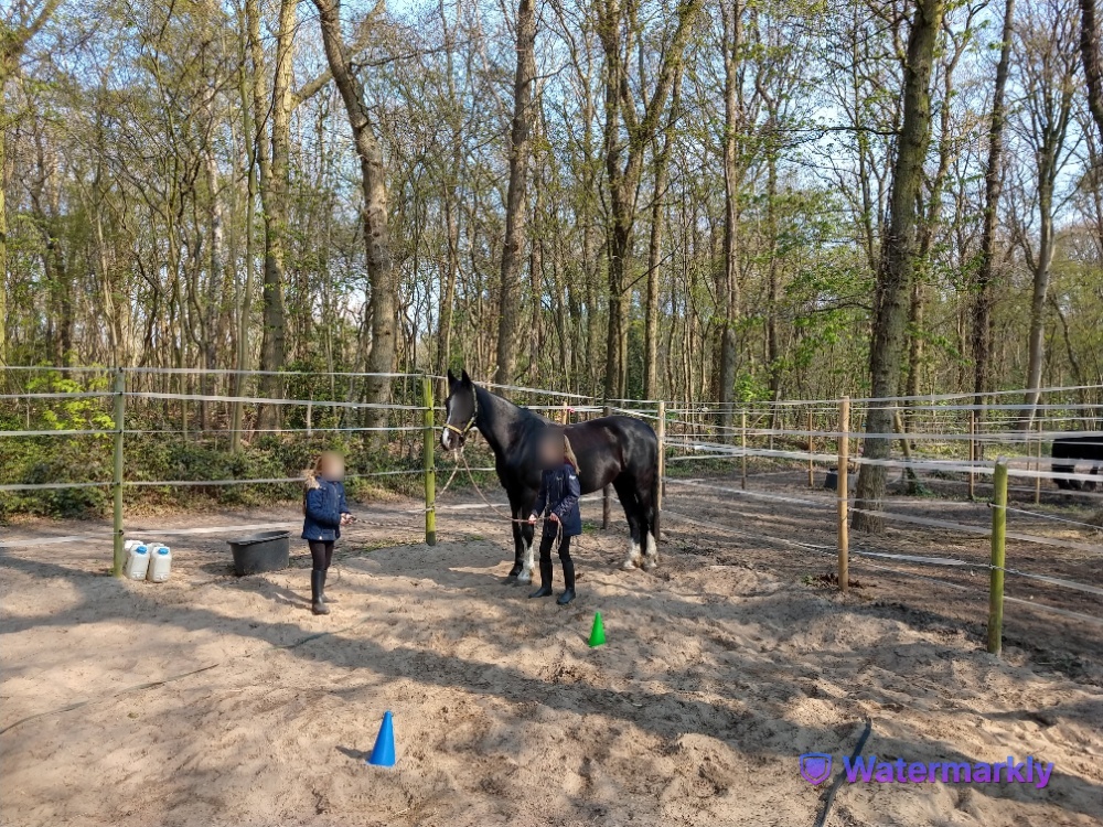 ansa met familie:2 kinderen 3