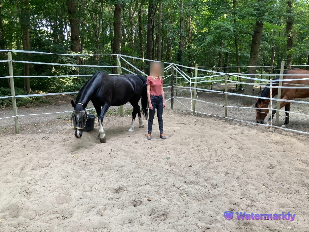 ansa met volwassene vrouw 3