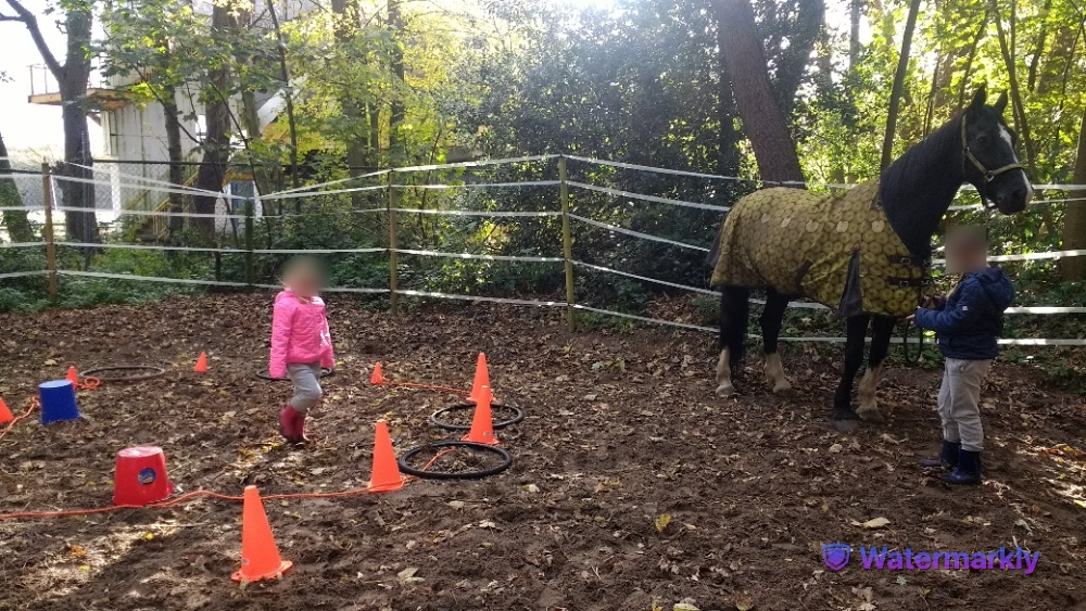 kindercoaching in den haag, foto 3