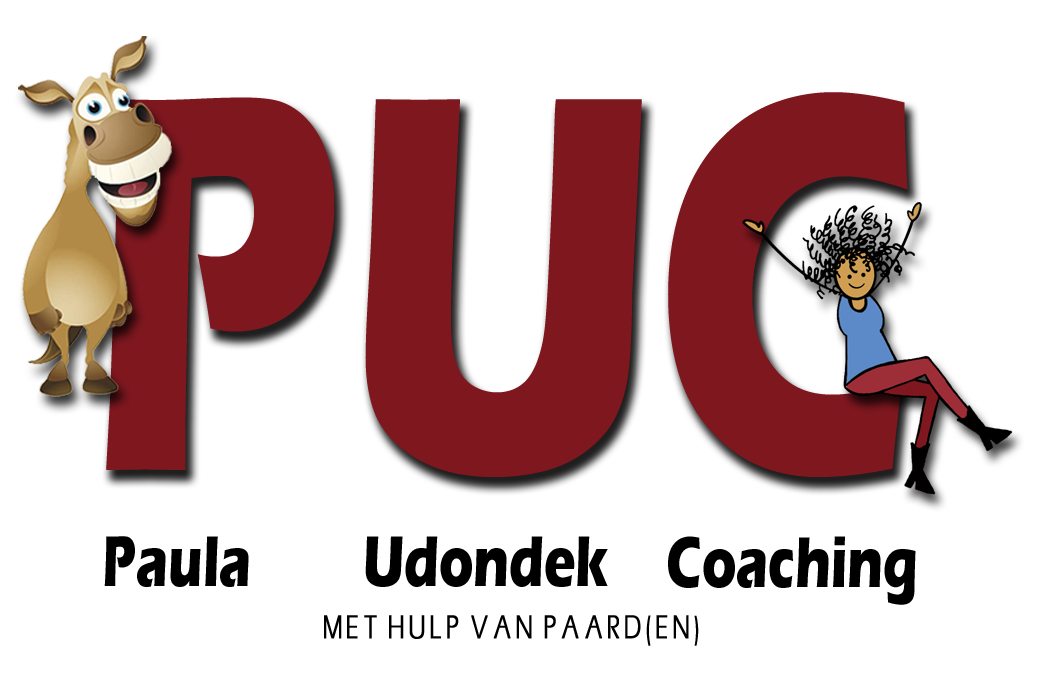 paulalogo transparant