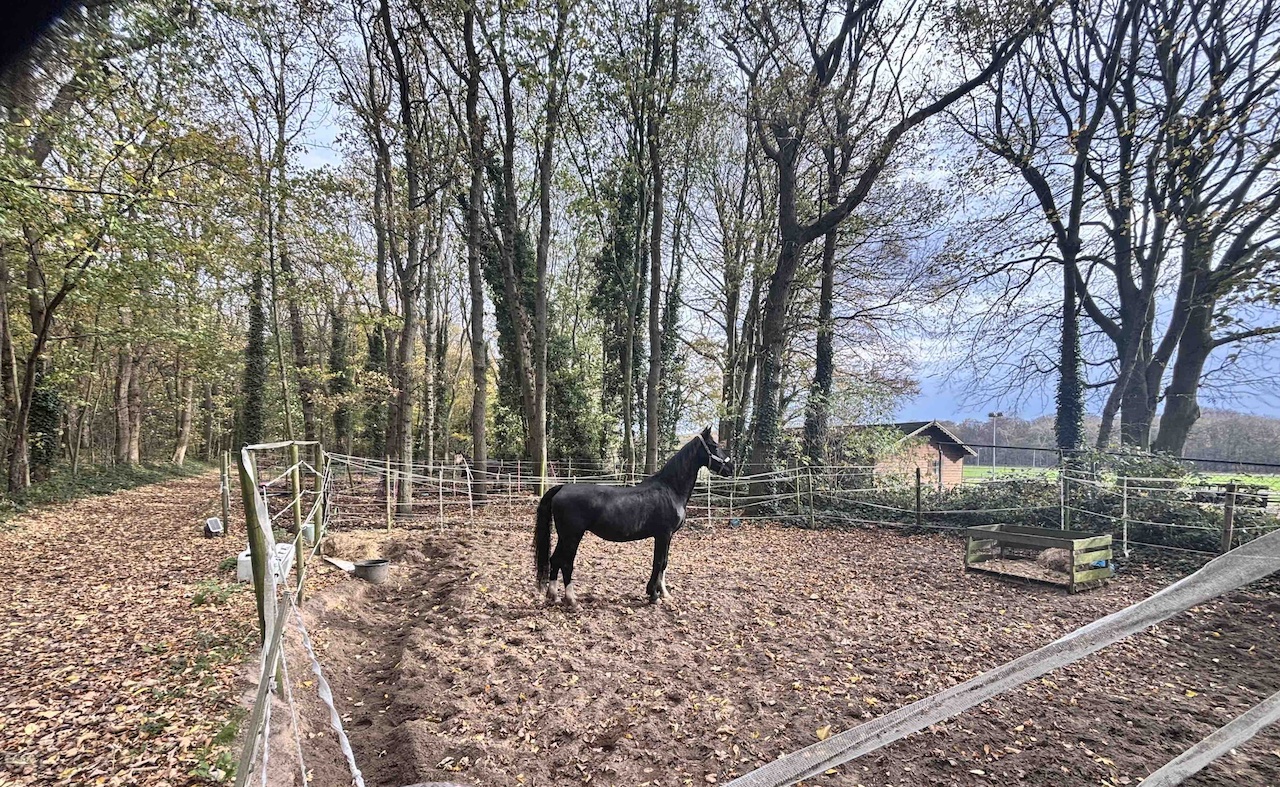 a paddock leeg