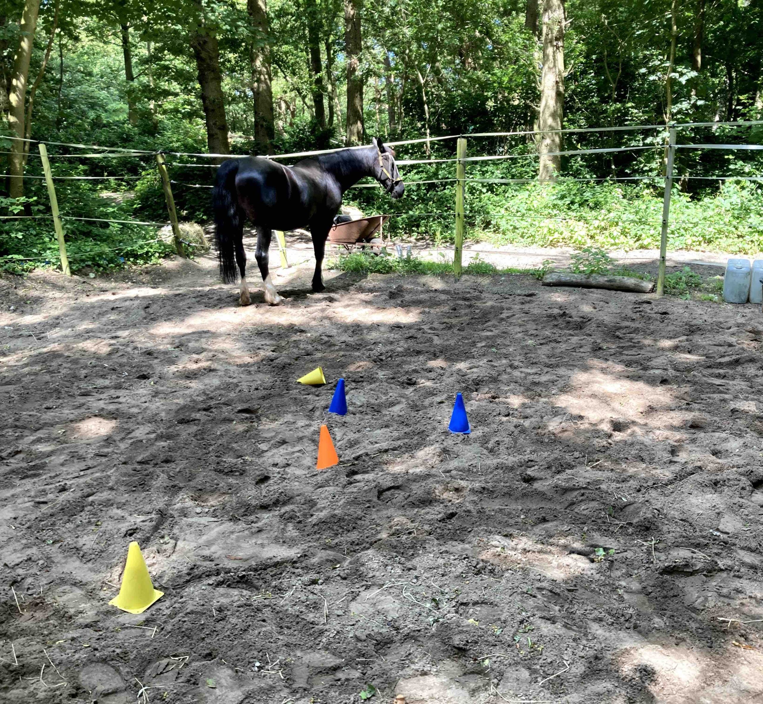 a pionnen klein