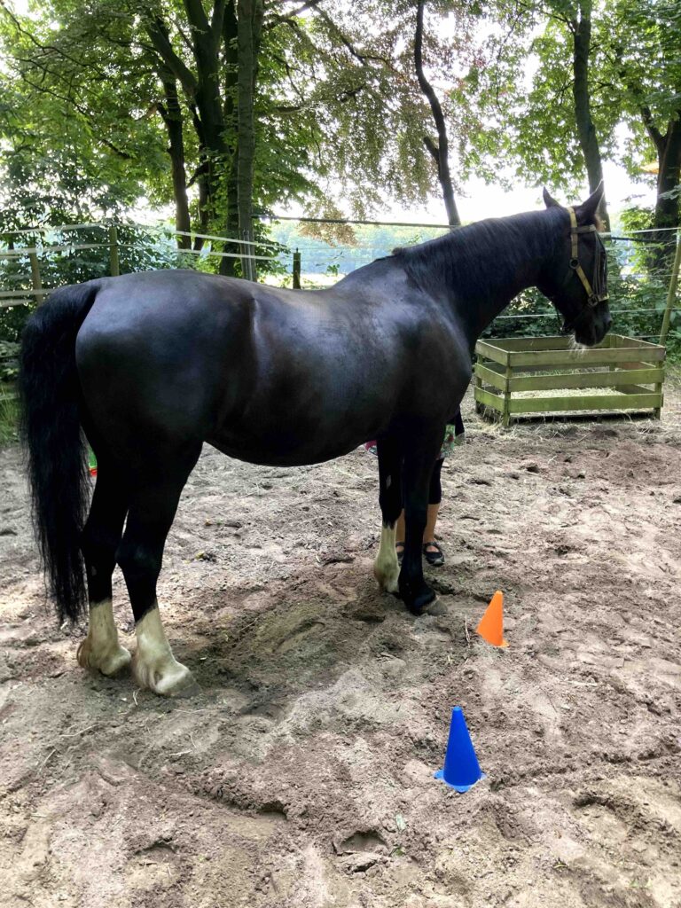 a pionnen met 1 persoon erachter
