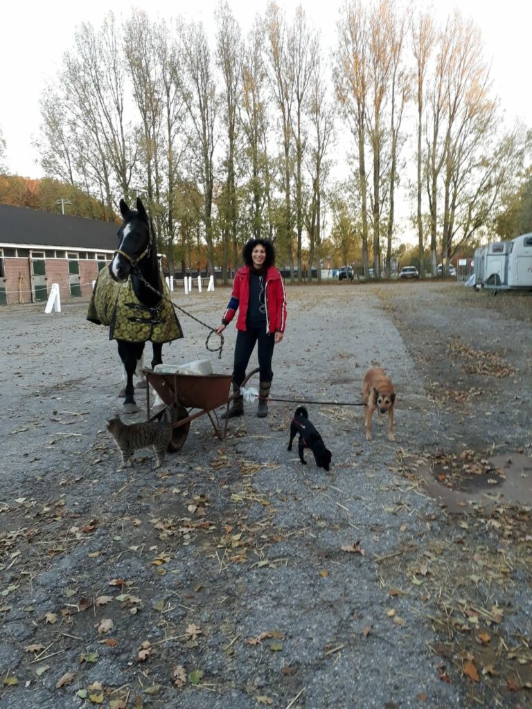 paula's posse op stal